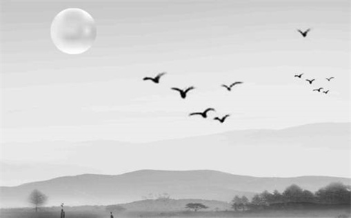 2029年农历五月十五搬家好吗 搬家入宅吉利吗