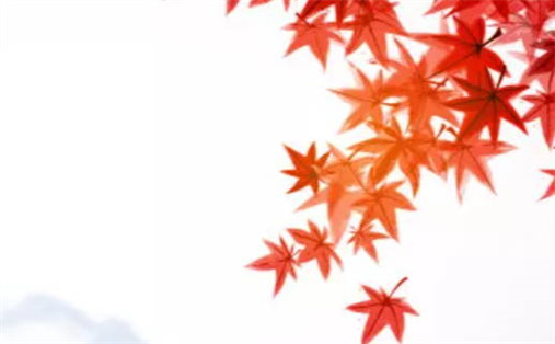 2024年农历八月十六动土好吗 动土吉利吗