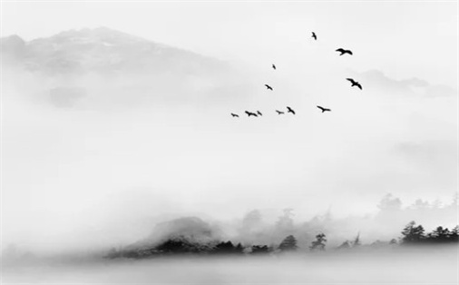 2031年12月28日动土日子如何 是建筑房屋好日子吗