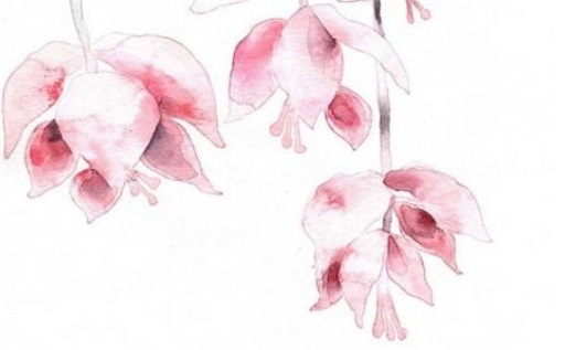 2029年农历冬月十六动土好吗 是动土好日子吗