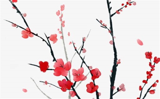 2028年农历六月廿八是不是动土吉日 今日动土建房好吗