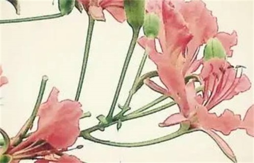 2024年12月10日动土好不好 今日动土修造好不好