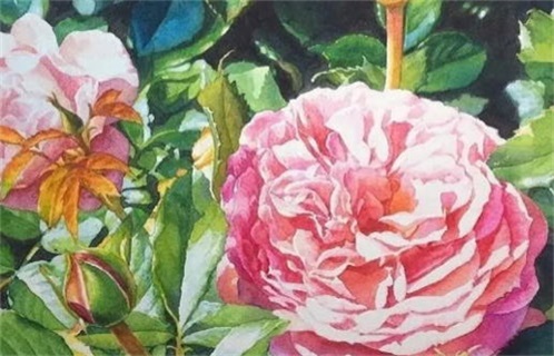 2024年农历九月初一动土好吗 宜动土修造吉日查询