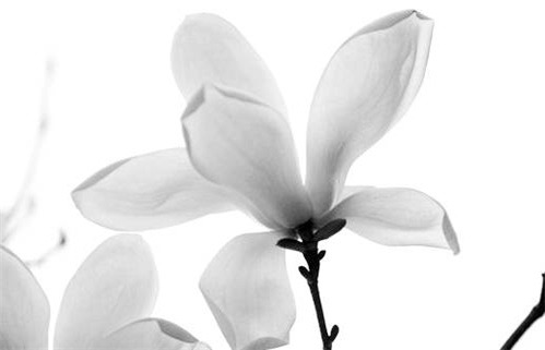 2029年农历三月初二动土好吗 今日建筑房屋好吗