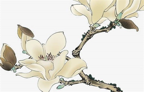 2028年农历八月初四动土好不好 今日动土好吗