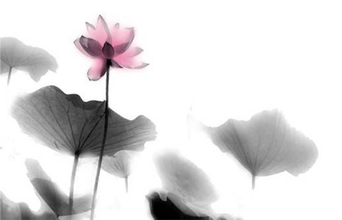 2025年08月05日是动土好日子吗 宜动土修造吉日查询