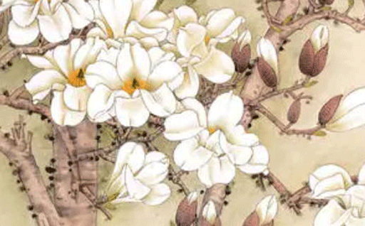 2029年农历四月廿三是不是动土吉日 今日动土好不好