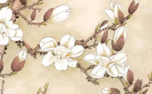 2025年农历五月初四是动土好日子吗 今日动土好吗