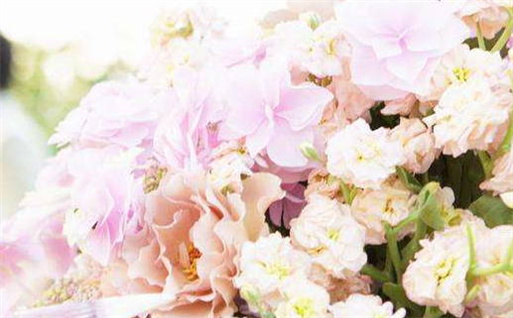 2029年农历正月廿三动土黄道吉日 动土修造吉利吗