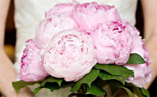 2028年08月27日是不是结婚吉日 今日办喜事好吗