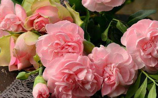 2032年农历四月十二结婚日子如何 适不适合办婚礼 2032年农历四月十二结婚日子如何 适不适合办婚礼