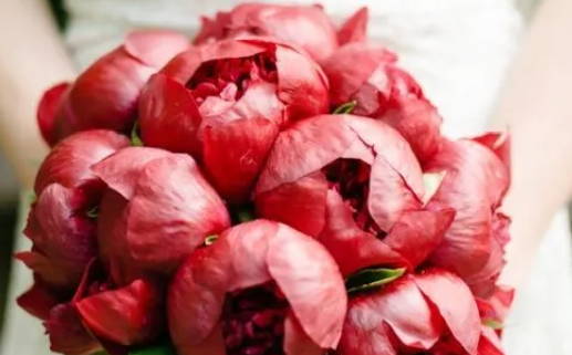 2040年农历五月二十结婚日子如何 办喜事吉利吗 2040年农历五月二十结婚日子如何 办喜事吉利吗