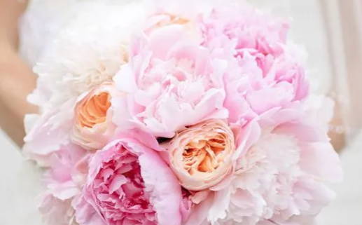 2025年农历八月廿八结婚好吗 今日办喜事好吗 2025年农历八月廿八结婚好吗 今日办喜事好吗