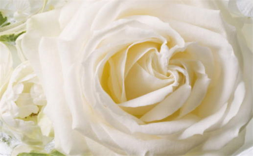 2029年12月15日结婚好吗 办喜事吉利吗