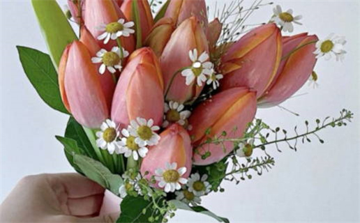 2033年农历八月廿四是不是结婚吉日 办喜事吉利吗