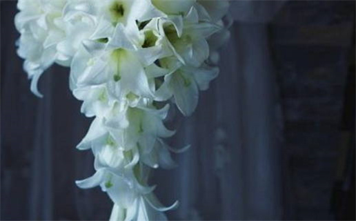 2029年农历十月廿二结婚日子如何 今日办喜事好吗 2029年农历十月廿二结婚日子如何 今日办喜事好吗