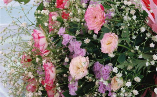 2030年01月08日结婚吉日查询 适不适合办喜事 2030年01月08日结婚吉日查询 适不适合办喜事