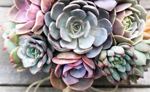 2028年农历闰五月十四是结婚好日子吗 今日办喜事好吗