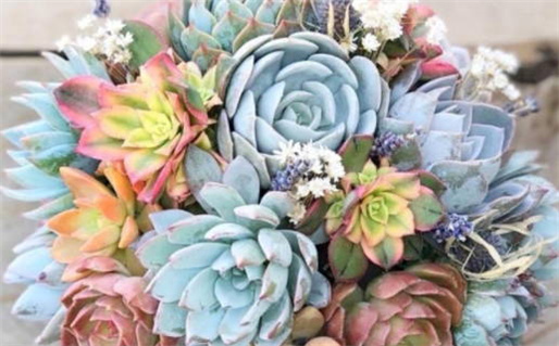 2025年农历五月十七结婚好不好 今日办喜事好不好