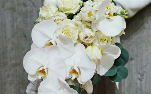 2036年12月26日结婚好吗 适不适合办婚礼 2036年12月26日结婚好吗 适不适合办婚礼