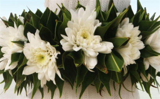 2026年农历四月十五领证日子如何 登记领证吉利吗