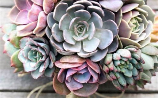 2024年11月16日领证黄道吉日 是领证结婚好日子吗