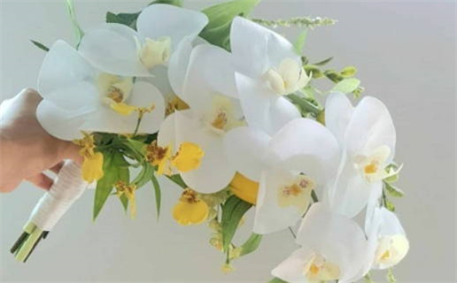 2030年农历八月初四是领证好日子吗 今日领证好吗