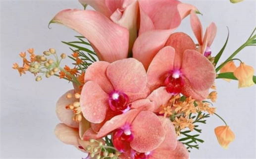 2025年农历九月初四领证好不好 今日领证好不好