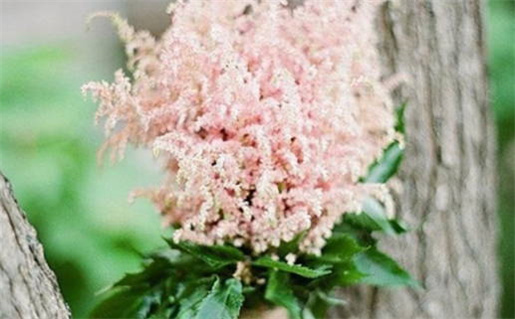 2027年06月17日是不是领证吉日 今日领证结婚好不好