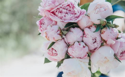 2026年11月10日是领证好日子吗 今日领证结婚好吗