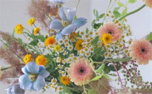 2024年12月03日领证好不好 登记领证吉利吗