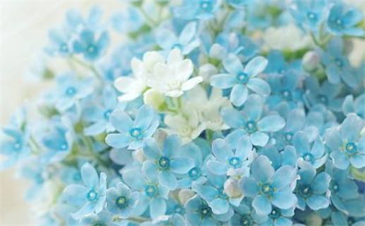 2029年农历冬月廿九领证日子如何 今日领证好吗