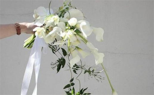 2027年07月08日领证好吗 是领证结婚好日子吗