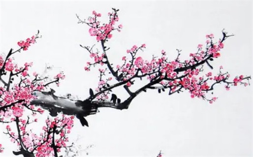 2028年04月19日领证好吗 今日登记领证好吗