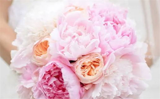 2027年12月22日领证好吗 是领证结婚好日子吗