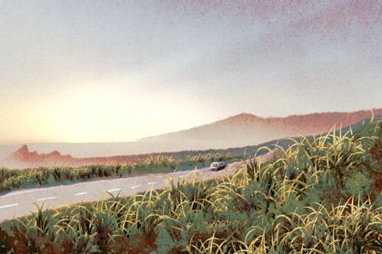 2026年07月20日是提车好日子吗 今日提车好吗