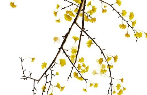 2027年农历正月十七装修好不好 宜装潢房子吉日查询