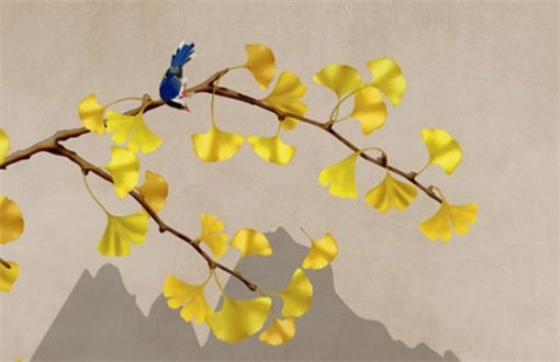 2034年09月17日装修好吗 今日装修新房好不好