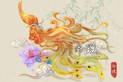 今日万年历黄历查询_2026黄道吉日大全_择日宜忌速查表|黄历万年历择吉平台_日历黄道吉日查询_2026精准测算网|今日黄历黄道吉日查询_2026万年历日历_测算平台官网