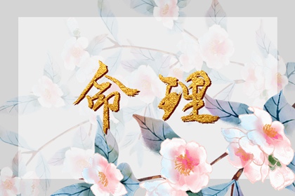 黄历日历吉凶对照_万年历黄道吉日择日_2026吉时测算网|黄道吉日权威测算平台_黄历万年历对照_日历择日速查表|老黄历日历吉日版_万年历黄道吉日测算_查询平台官网