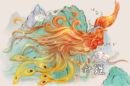 老皇历 老皇历 择吉皇历