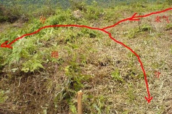 为什么风水借床能够改变你的命运 为什么风水借床能够改变你的命运