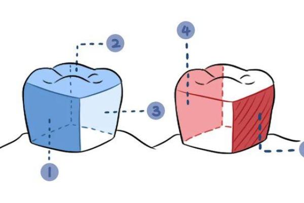 风水与牙齿虚弱的关系分析 风水与牙齿虚弱的关系分析