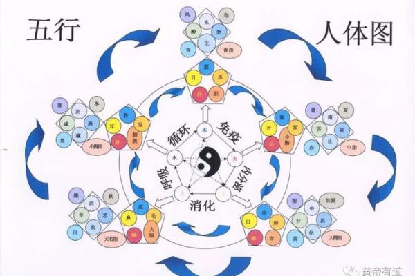 五行格局如何改变?沙五行带你走出性格困境 五行格局如何改变?沙五行带你走出性格困境