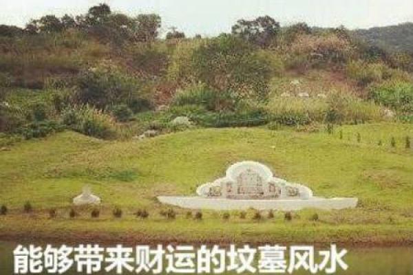 揭开风水黑狗墓地的秘密:不为人知的影响 揭开风水黑狗墓地的秘密:不为人知的影响