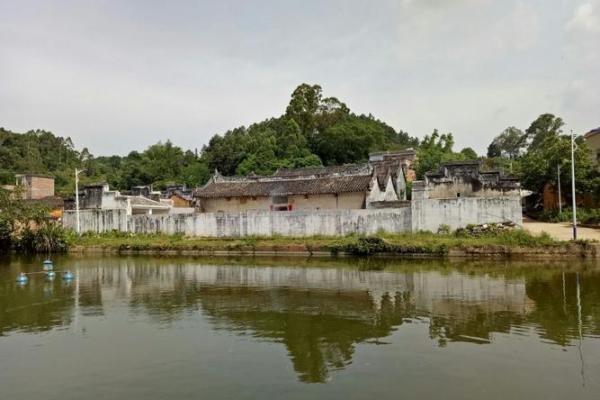 云浮富林：揭秘风水宝地，财运亨通的秘密