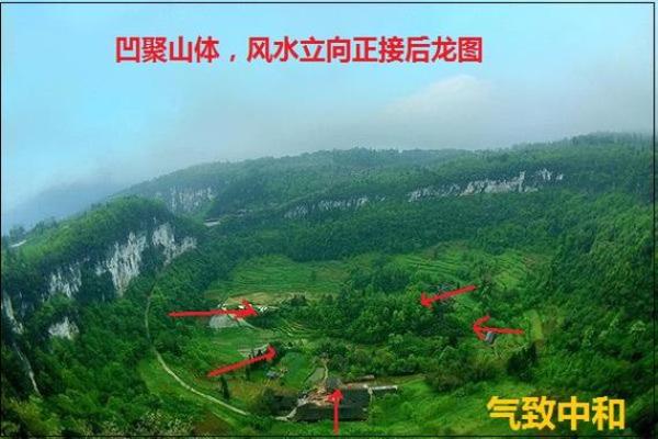 探秘风水黑狗墓地:墓地风水的独特影响 探秘风水黑狗墓地:墓地风水的独特影响