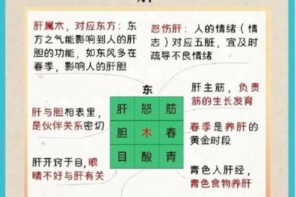 风水中的五行平衡与健康运势的关系