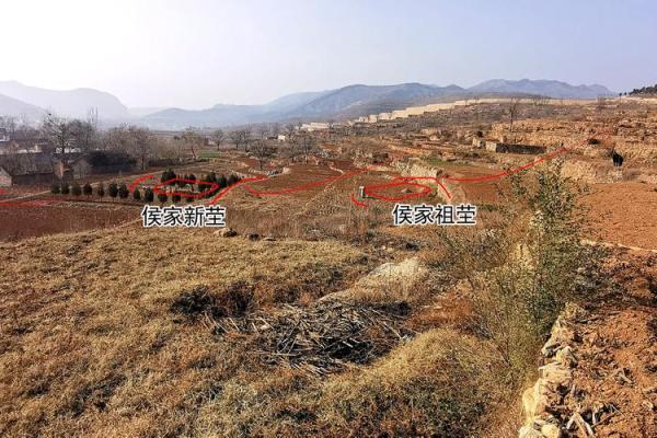 风水与牙齿虚弱的关系分析 风水与牙齿虚弱的关系分析