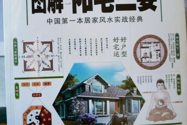 阴宅风水揭秘：一窥先人后事，精准断定家族人丁兴衰